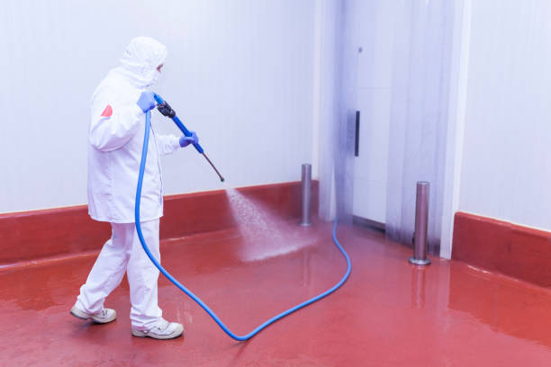 Best Driveway Pressure Washing  in Justice, IL