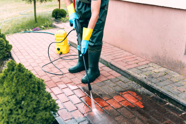 Best Playground Equipment Cleaning  in Justice, IL
